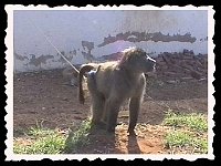Foto 024